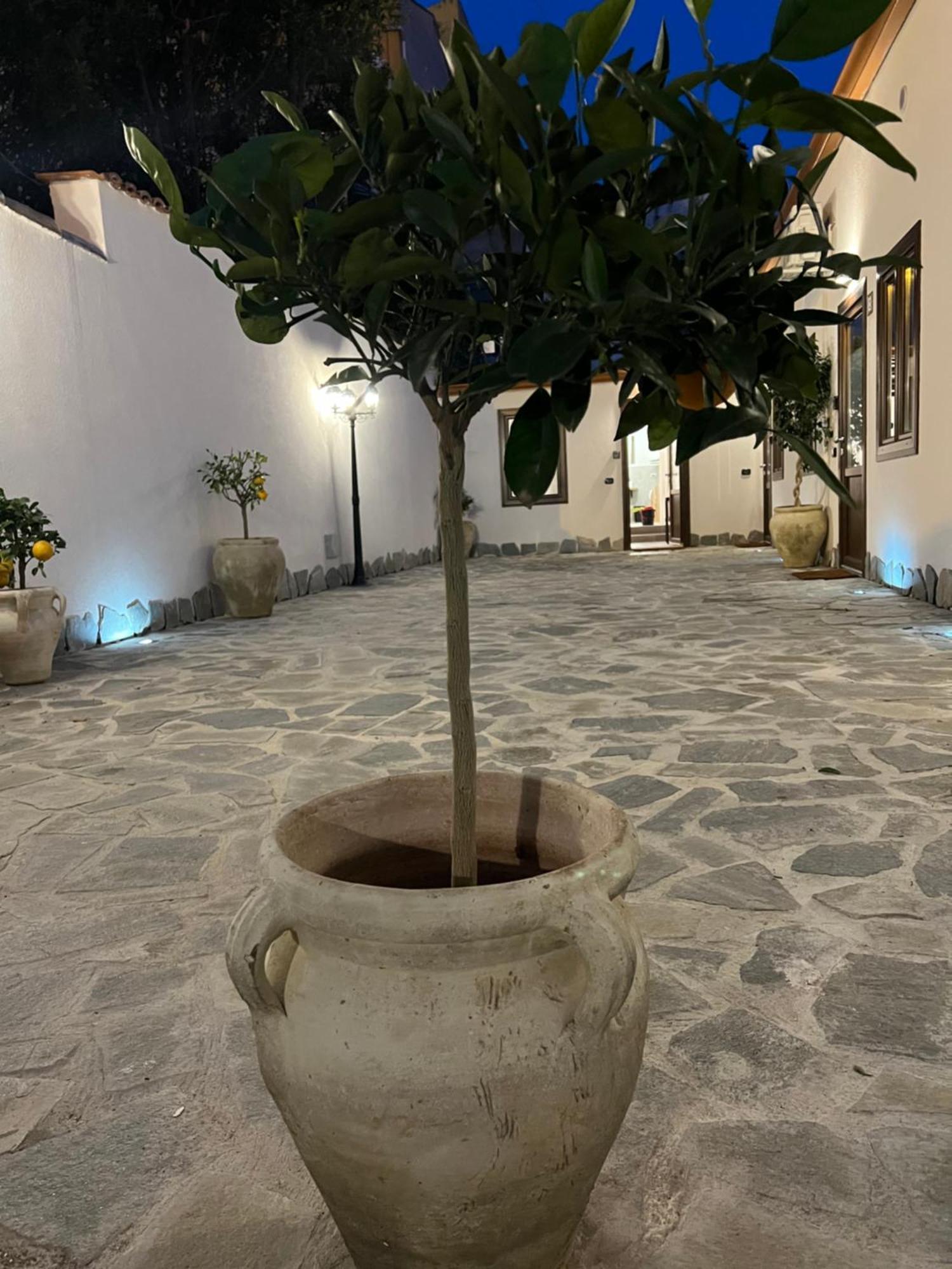 דירות פלרמו Cedros מראה חיצוני תמונה